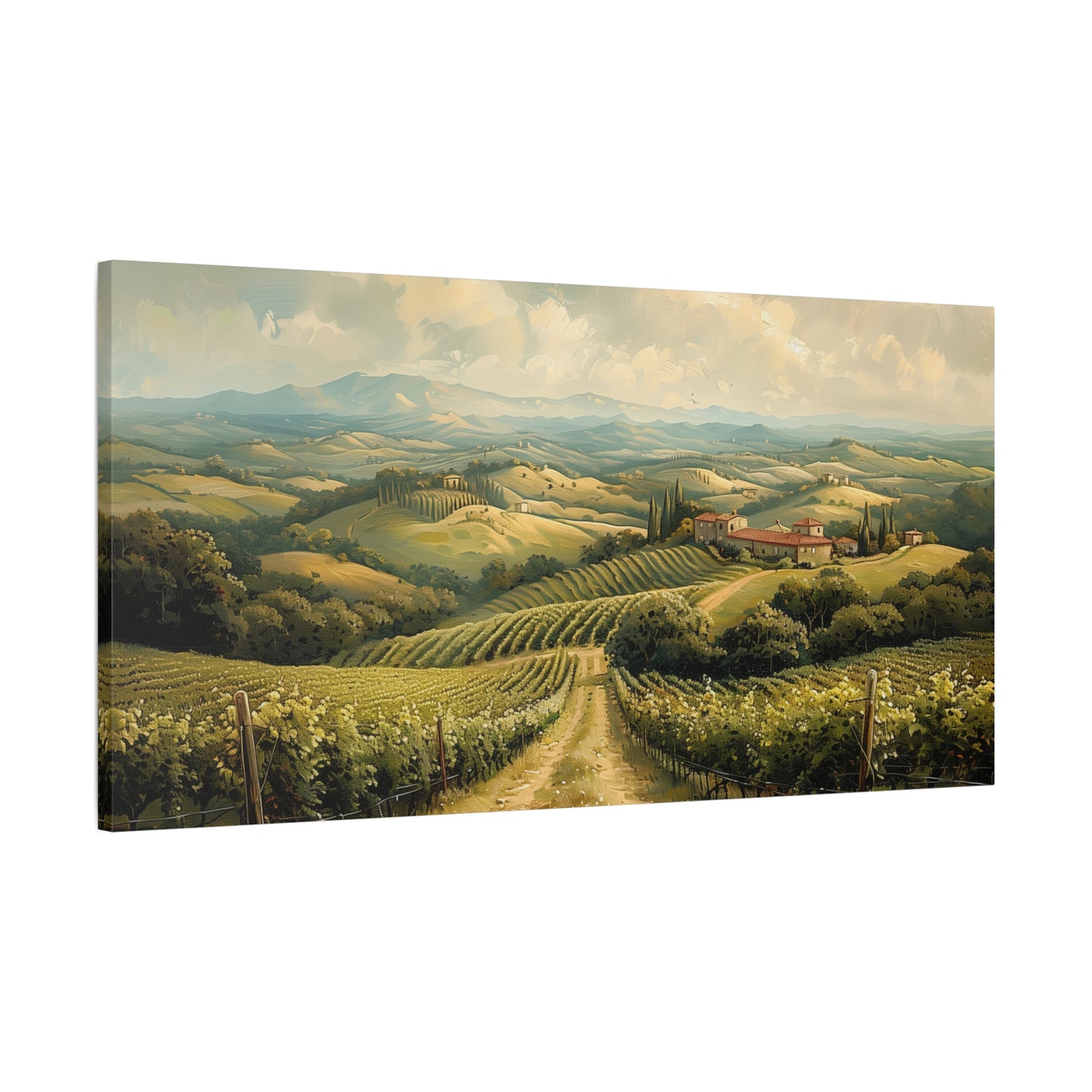 Vineyard Hills Canvas Art - Muted Countryside Landscape Print