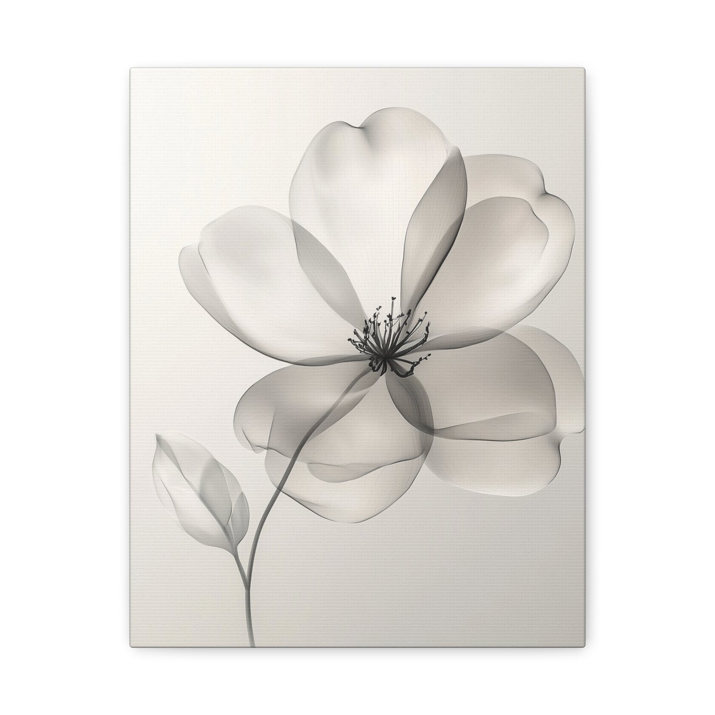 Elegant Rose Floral Canvas Art - Stretched Matte Flower Wall Decor