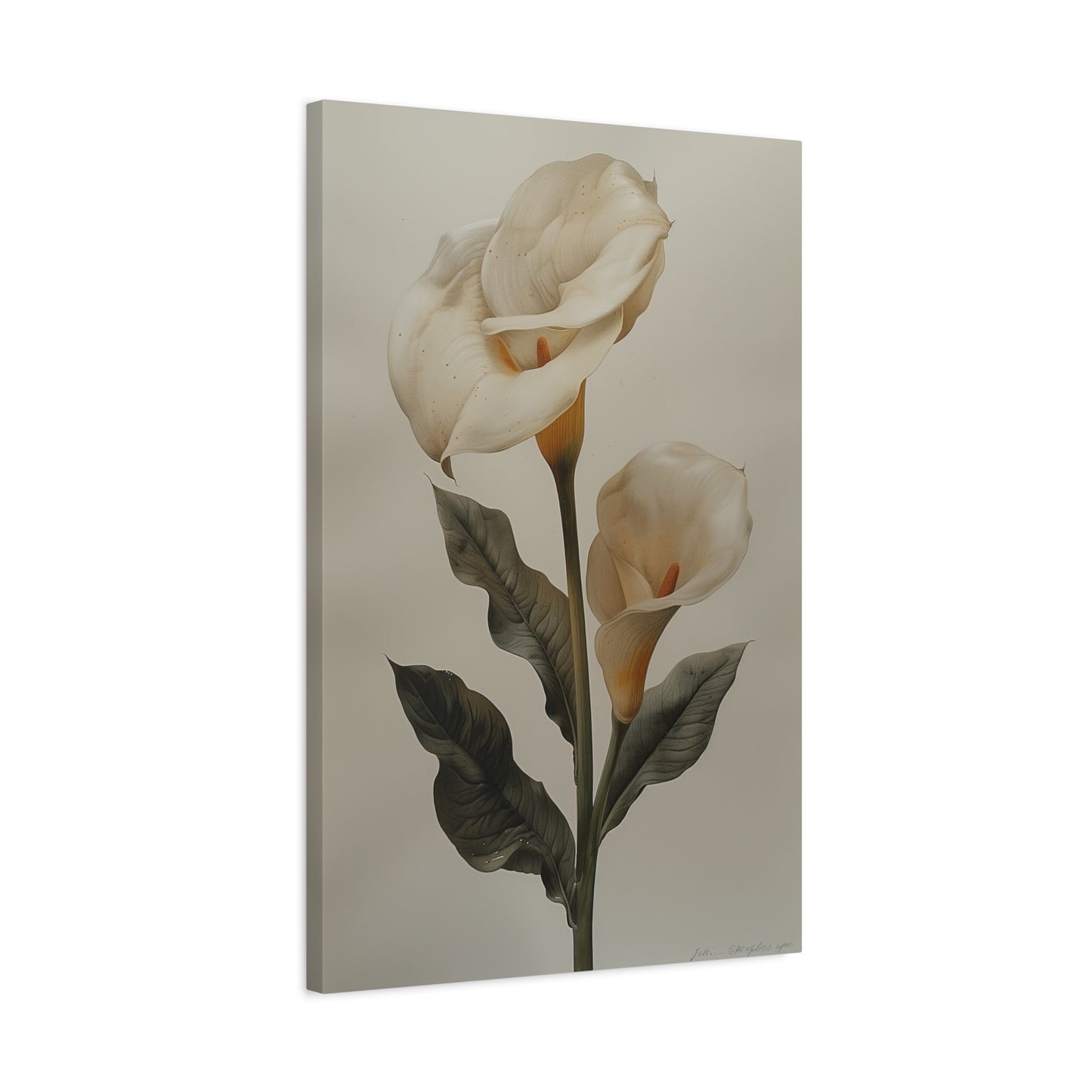 Lily Elegance Canvas Print I