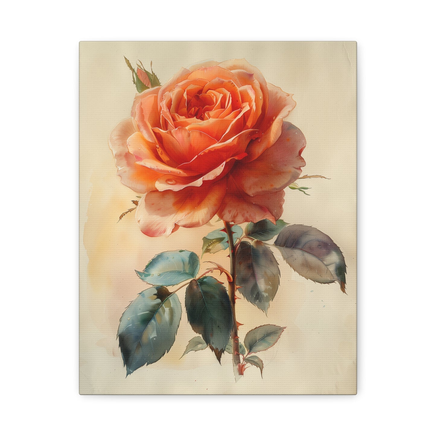 Blush Rose Elegance Canvas Print