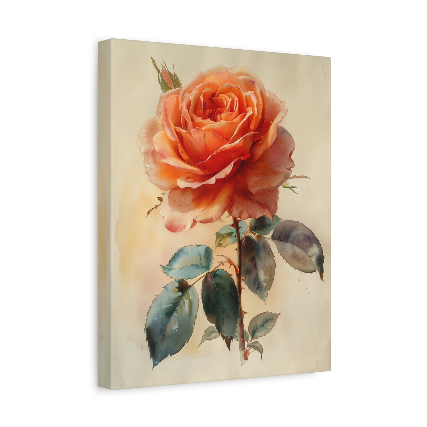Blush Rose Elegance Canvas Print