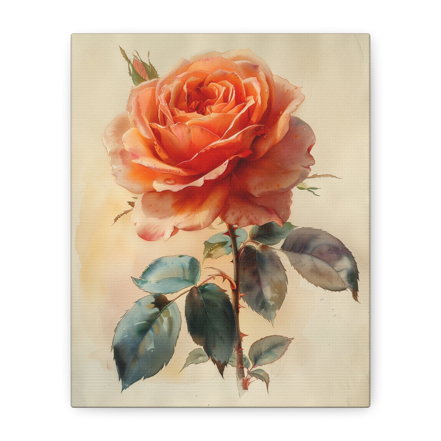 Blush Rose Elegance Canvas Print