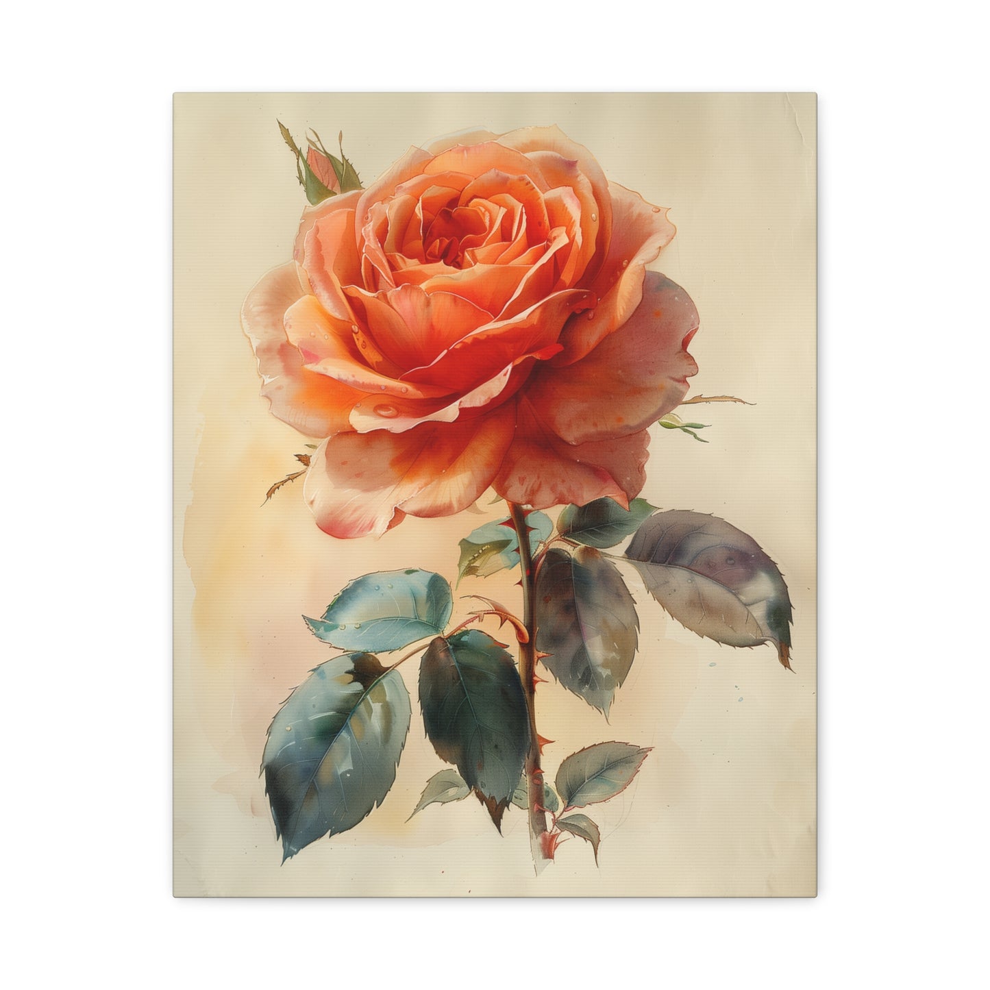 Blush Rose Elegance Canvas Print