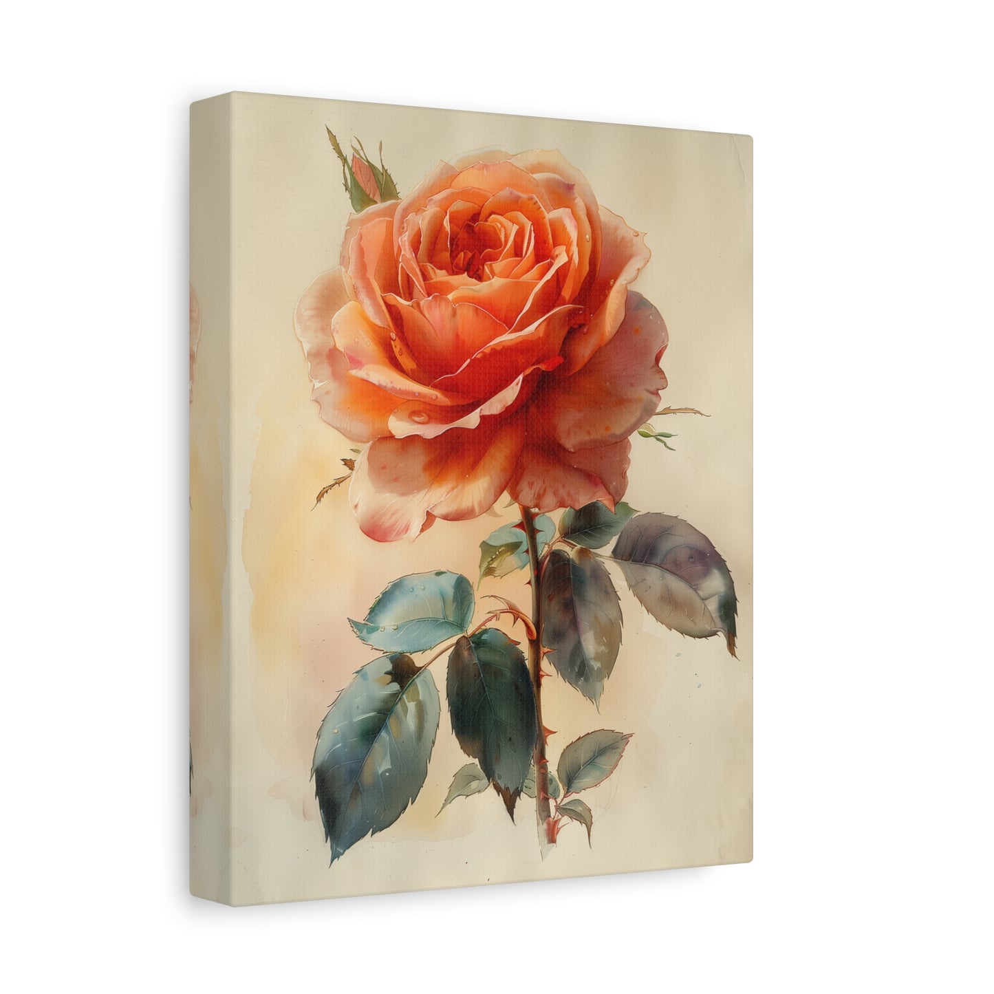 Blush Rose Elegance Canvas Print
