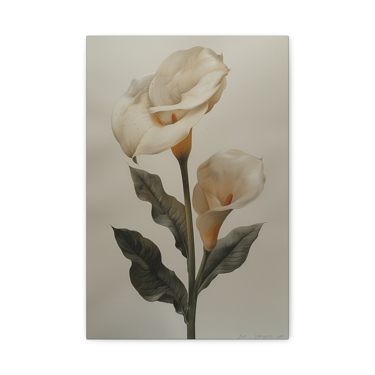 Lily Elegance Canvas Print I
