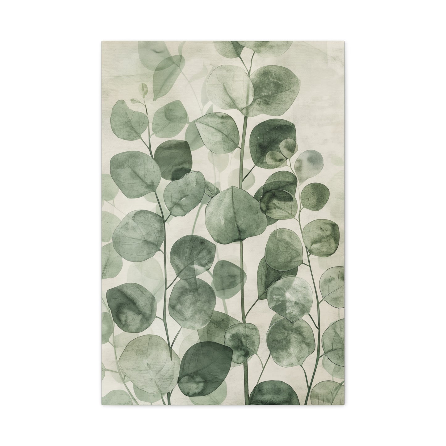 Whispering Eucalyptus Canvas Print
