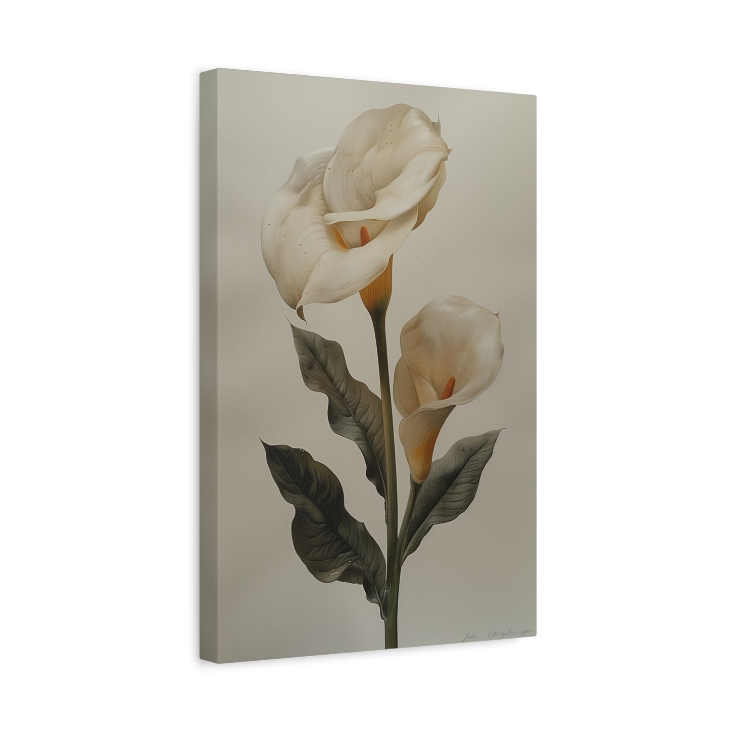 Lily Elegance Canvas Print I