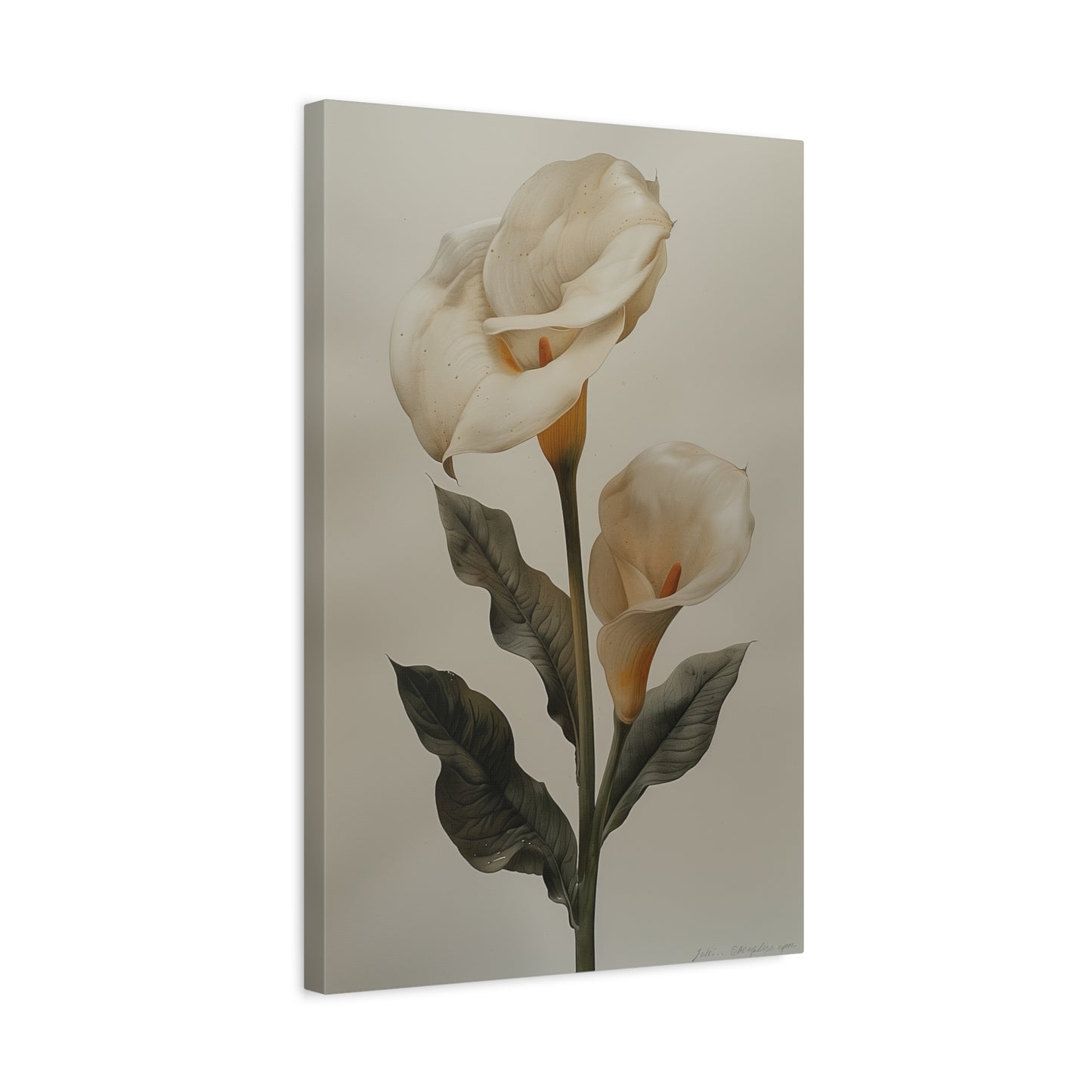 Lily Elegance Canvas Print I
